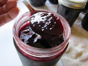 Homemade Blackberry Jam with Homemade Pectin